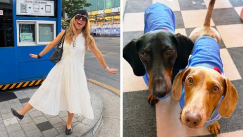 Split pic. On the left is a young fashion influencer in a white summery dress posing for the camera. On the right is a close-up of two Dachshunds wearing blue cooling jackets. 